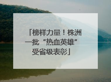 榜样力量！株洲一批“热血英雄”受省级表彰