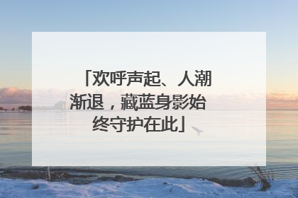 欢呼声起、人潮渐退，藏蓝身影始终守护在此