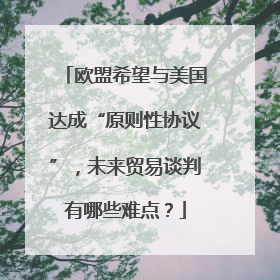 欧盟希望与美国达成“原则性协议”，未来贸易谈判有哪些难点？