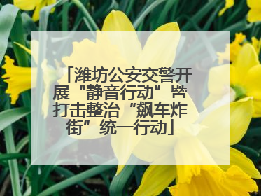 潍坊公安交警开展“静音行动”暨打击整治“飙车炸街”统一行动