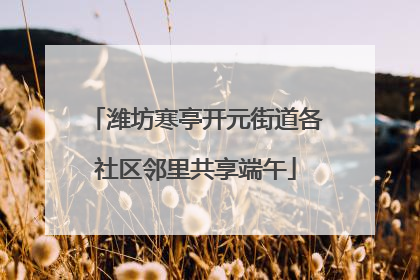 潍坊寒亭开元街道各社区邻里共享端午