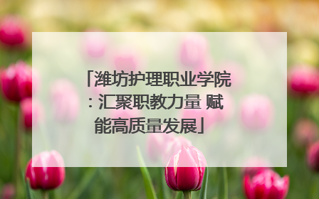 潍坊护理职业学院：汇聚职教力量 赋能高质量发展