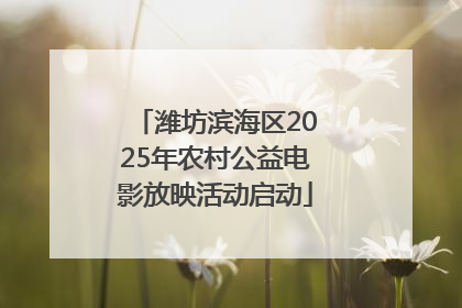 潍坊滨海区2025年农村公益电影放映活动启动