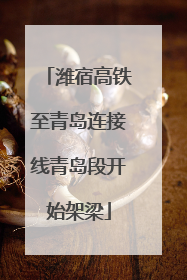 潍宿高铁至青岛连接线青岛段开始架梁