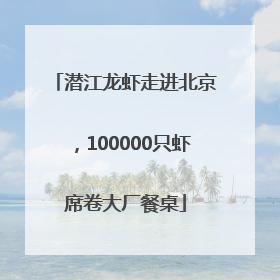 潜江龙虾走进北京，100000只虾席卷大厂餐桌