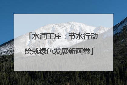 水润王庄：节水行动绘就绿色发展新画卷