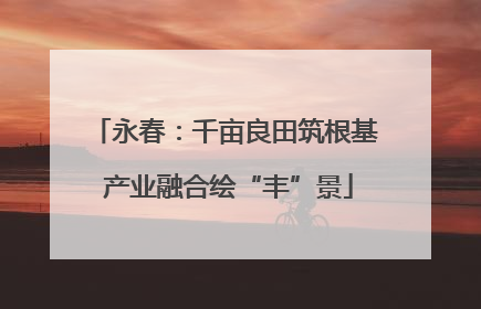 永春：千亩良田筑根基 产业融合绘“丰”景