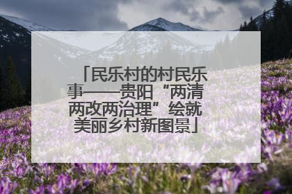 民乐村的村民乐事——贵阳“两清两改两治理”绘就美丽乡村新图景
