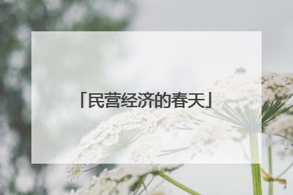 民营经济的春天