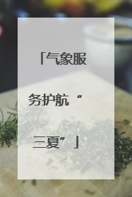 气象服务护航“三夏”
