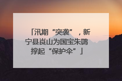 汛期“突袭”，新宁县崀山为国宝朱鹮撑起“保护伞”