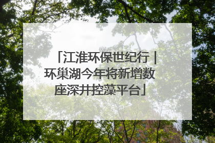 江淮环保世纪行｜环巢湖今年将新增数座深井控藻平台