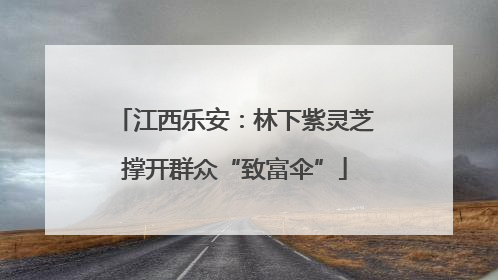 江西乐安：林下紫灵芝撑开群众“致富伞”