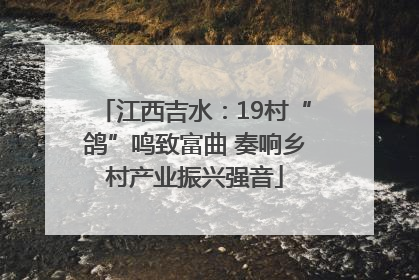 江西吉水：19村“鸽”鸣致富曲 奏响乡村产业振兴强音