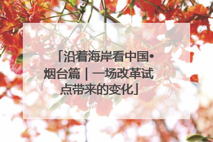 沿着海岸看中国•烟台篇｜一场改革试点带来的变化