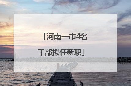 河南一市4名干部拟任新职
