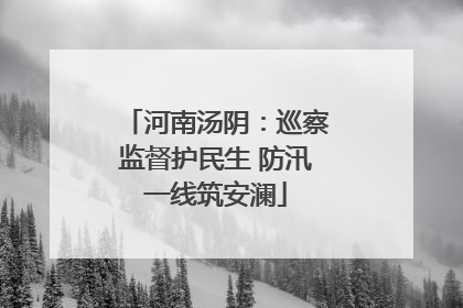 河南汤阴：巡察监督护民生 防汛一线筑安澜