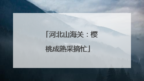 河北山海关：樱桃成熟采摘忙