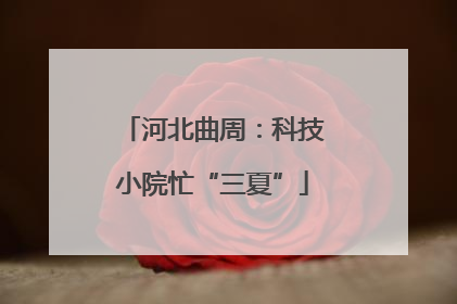河北曲周：科技小院忙“三夏”
