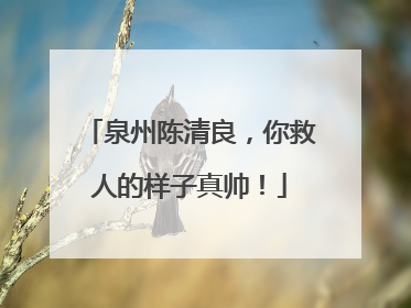 泉州陈清良，你救人的样子真帅！
