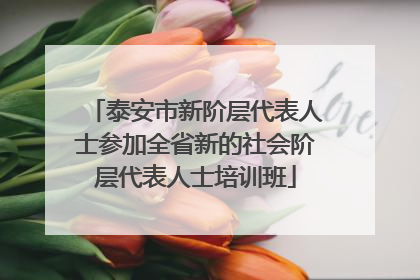 泰安市新阶层代表人士参加全省新的社会阶层代表人士培训班