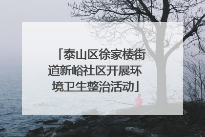 泰山区徐家楼街道新峪社区开展环境卫生整治活动
