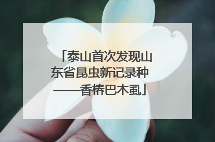 泰山首次发现山东省昆虫新记录种——香椿巴木虱