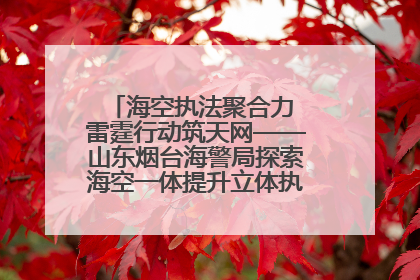 海空执法聚合力 雷霆行动筑天网——山东烟台海警局探索海空一体提升立体执法效能纪实