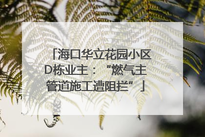 海口华立花园小区D栋业主：“燃气主管道施工遭阻拦”