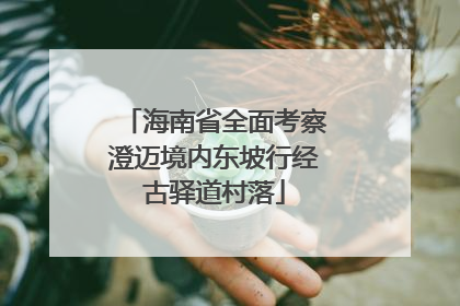 海南省全面考察澄迈境内东坡行经古驿道村落