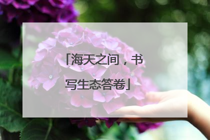 海天之间，书写生态答卷