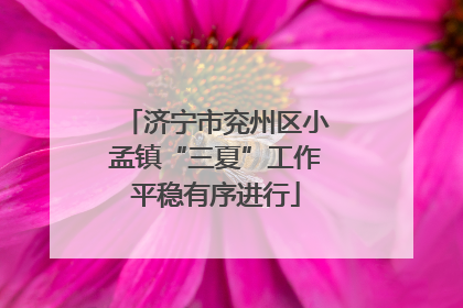 济宁市兖州区小孟镇“三夏”工作平稳有序进行
