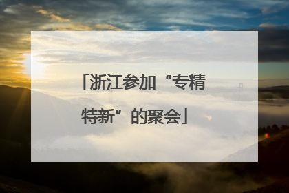 浙江参加“专精特新”的聚会