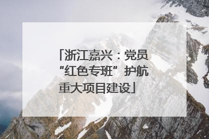 浙江嘉兴：党员“红色专班”护航重大项目建设