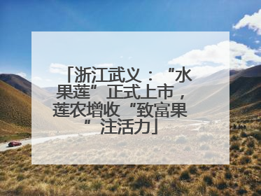 浙江武义：“水果莲”正式上市，莲农增收“致富果”注活力