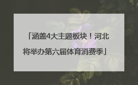 涵盖4大主题板块！河北将举办第六届体育消费季