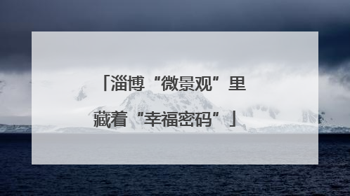 淄博“微景观”里藏着“幸福密码”
