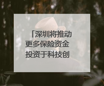 深圳将推动更多保险资金投资于科技创新｜聚焦深圳系列发布会