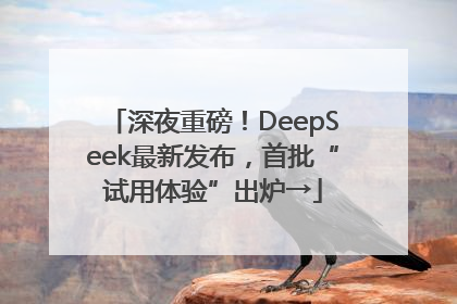 深夜重磅！DeepSeek最新发布，首批“试用体验”出炉→