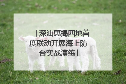 深汕惠揭四地首度联动开展海上防台实战演练
