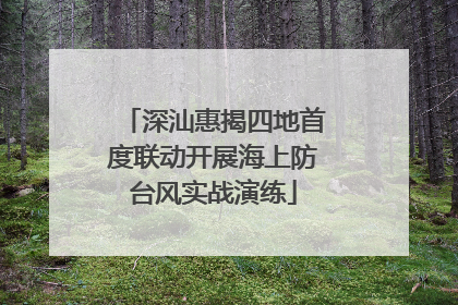 深汕惠揭四地首度联动开展海上防台风实战演练