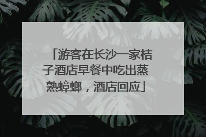 游客在长沙一家桔子酒店早餐中吃出蒸熟蟑螂，酒店回应