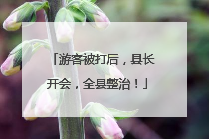 游客被打后，县长开会，全县整治！