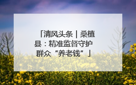 清风头条｜桑植县：精准监督守护群众“养老钱”