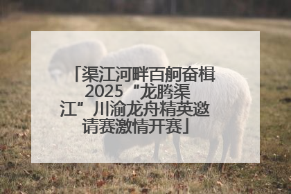 渠江河畔百舸奋楫 2025“龙腾渠江”川渝龙舟精英邀请赛激情开赛