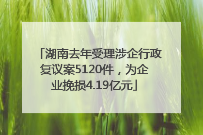 湖南去年受理涉企行政复议案5120件，为企业挽损4.19亿元