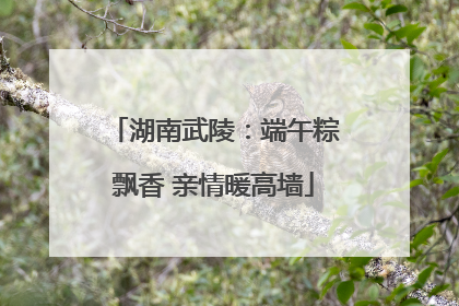 湖南武陵：端午粽飘香 亲情暖高墙