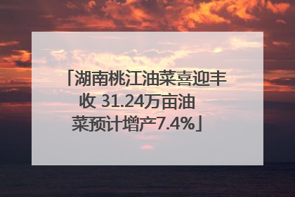 湖南桃江油菜喜迎丰收 31.24万亩油菜预计增产7.4%
