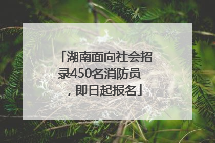 湖南面向社会招录450名消防员，即日起报名