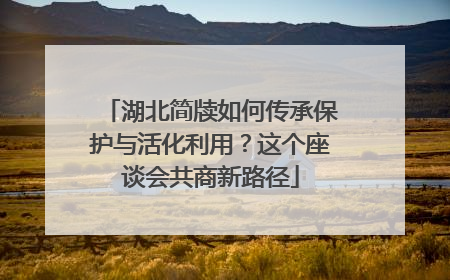 湖北简牍如何传承保护与活化利用？这个座谈会共商新路径